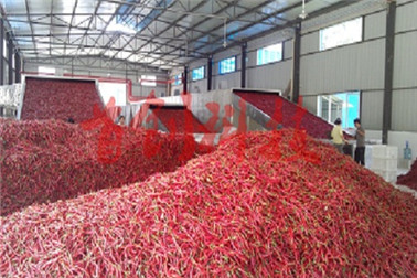 1504253627502869.jpg tr.jpg