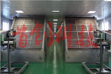 红枣烘干机5.jpg