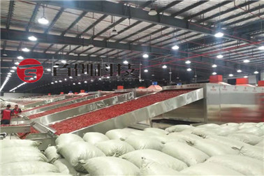 1625903235556595.jpg 辣椒.jpg