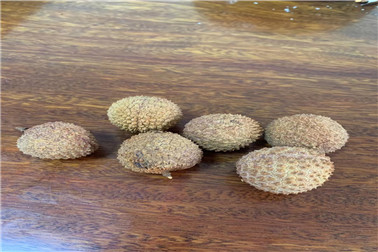 1627108556883214.jpg 0264d82314f9fbebcbe7f4a7214e123.jpg