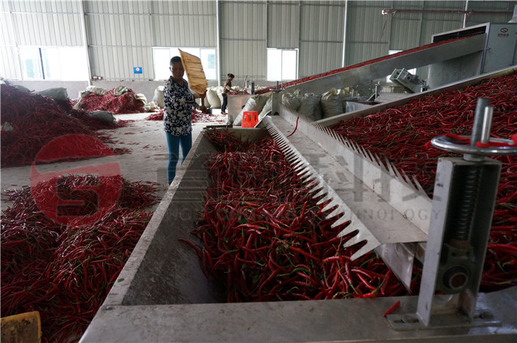 智能辣椒烘干机.jpg