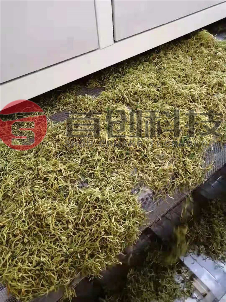 网带式金银花烘干机.jpg 网带式金银花烘干机.jpg