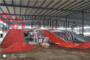 1668497946401423.jpg 鲜辣椒.jpg