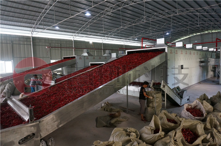 朝天椒烘干设备.jpg