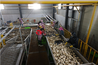 1670920444349549.jpg 1cece377899e509d975113089ba8bc8.jpg