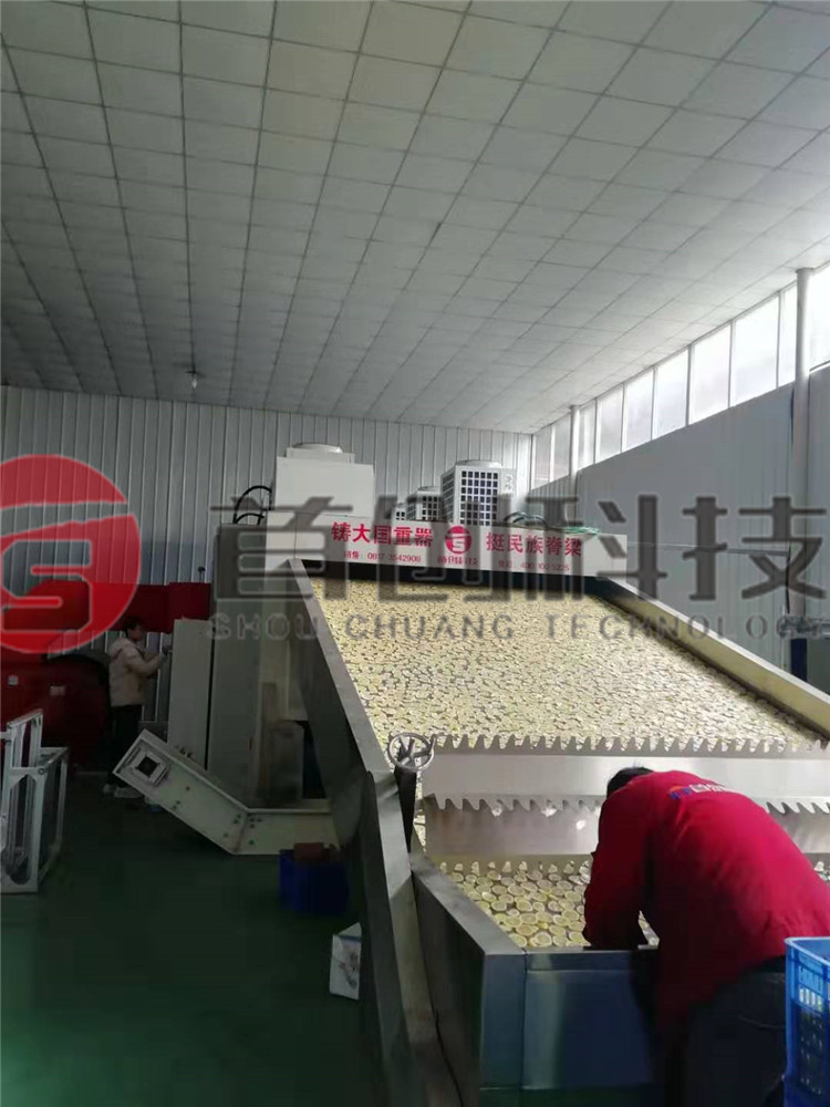 网带式柠檬片干燥设备.jpg