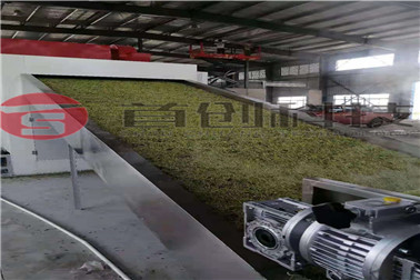 1677481521712179.jpg 金银花.jpg