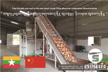 魔芋切片烘干一体机