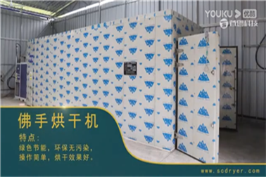 佛手柑烘干机设备