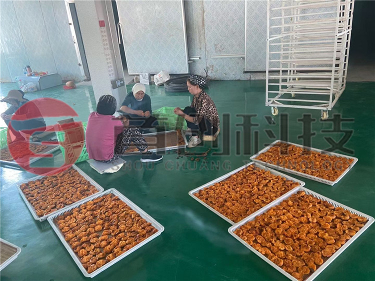 专业葡萄烘干设备.jpg