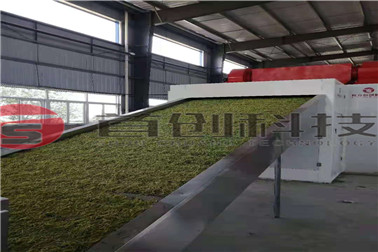 网带金银花烘干机