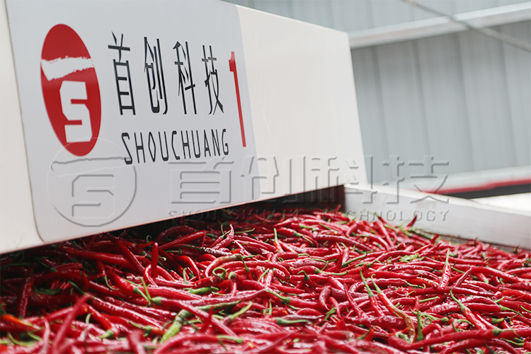 大型网带式辣椒干燥设备.png