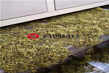 金银花出料 金银花出料