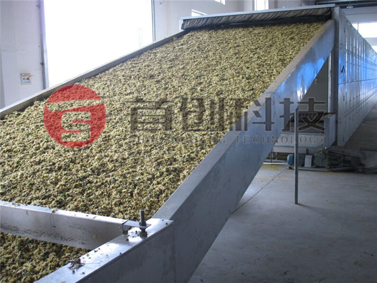野菊花热风干燥设备.jpg