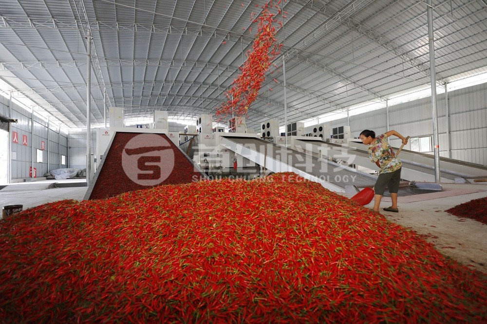 鲜辣椒烘干定制生产线设备.jpg
