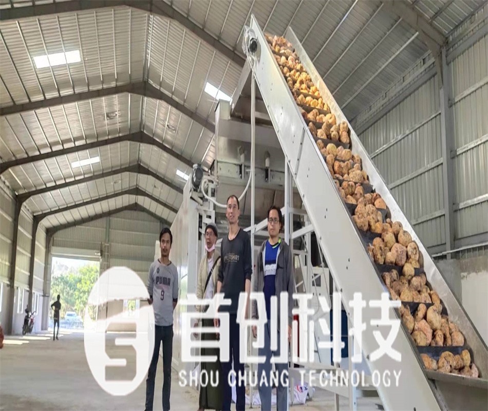 魔芋烘干生产线.jpg