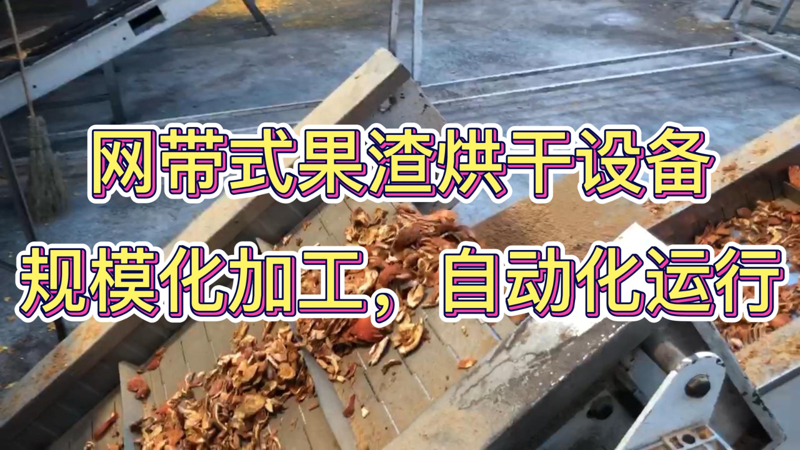 网带式果渣干燥机.jpg