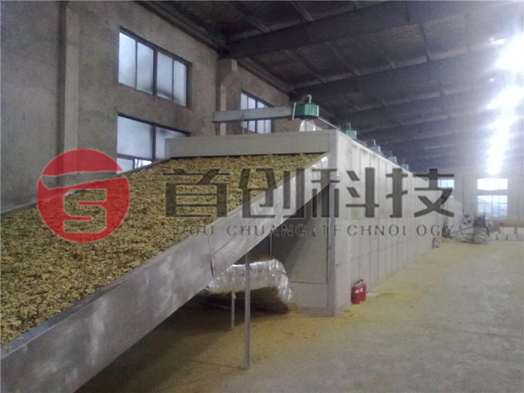 网带式菊花干燥设备.jpg