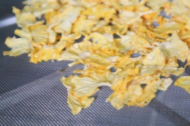 1721205025470881.jpg 菠萝片_副本.jpg