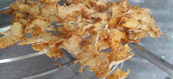 1721205126362827.jpg 微信图片_20240717083525_副本.jpg