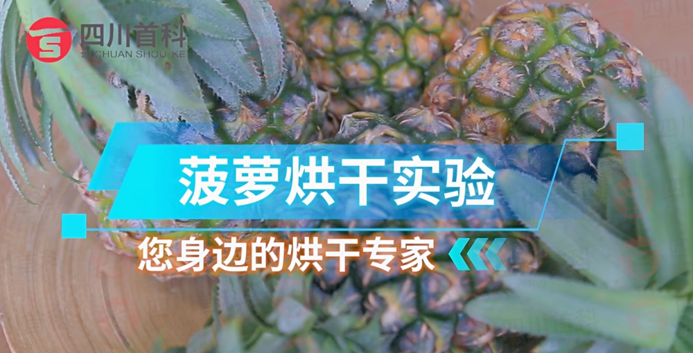 1721205397847304.jpg 1721204505069_副本.jpg