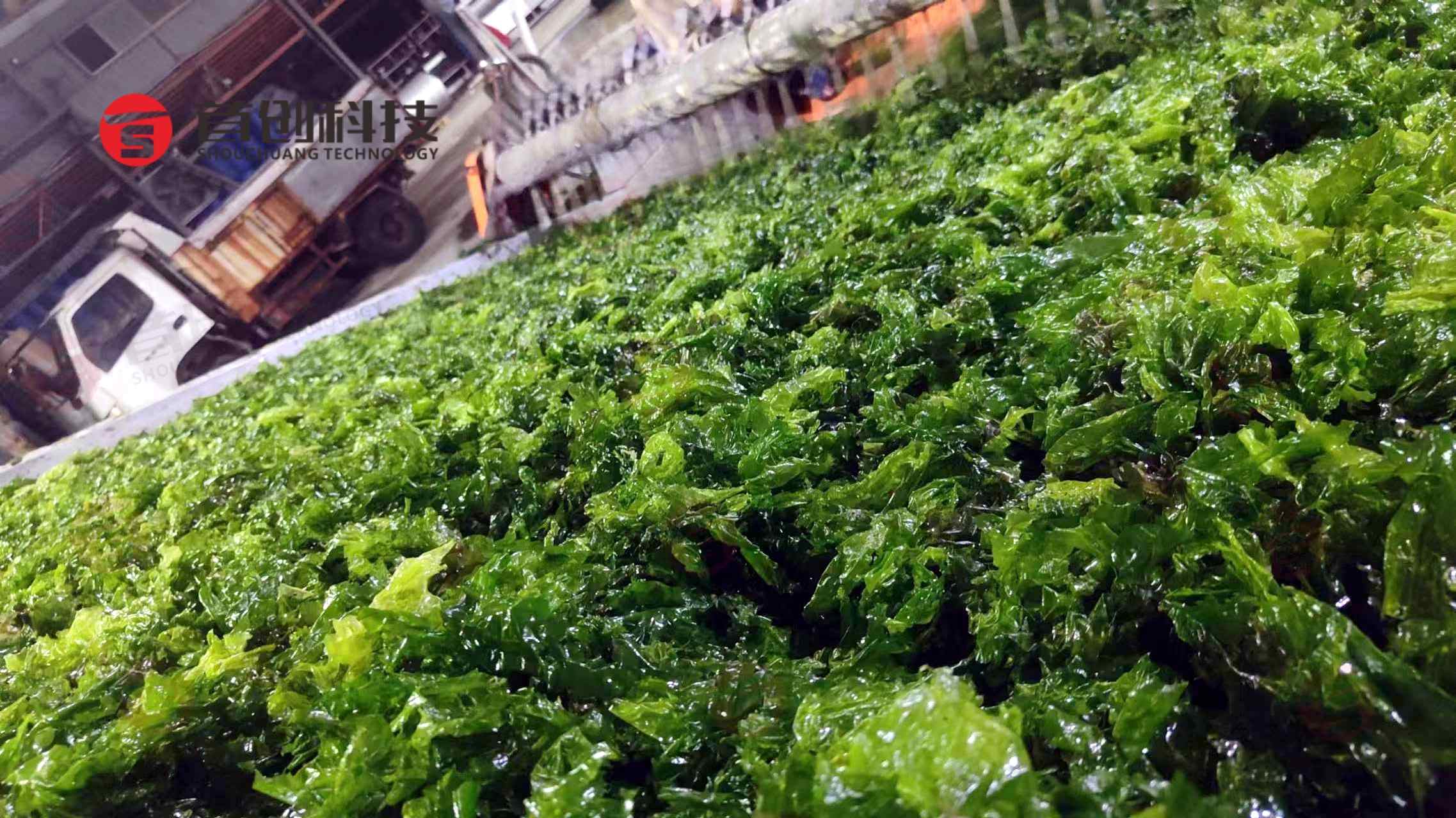 1733819627671173.jpg 1733819627671173.jpg