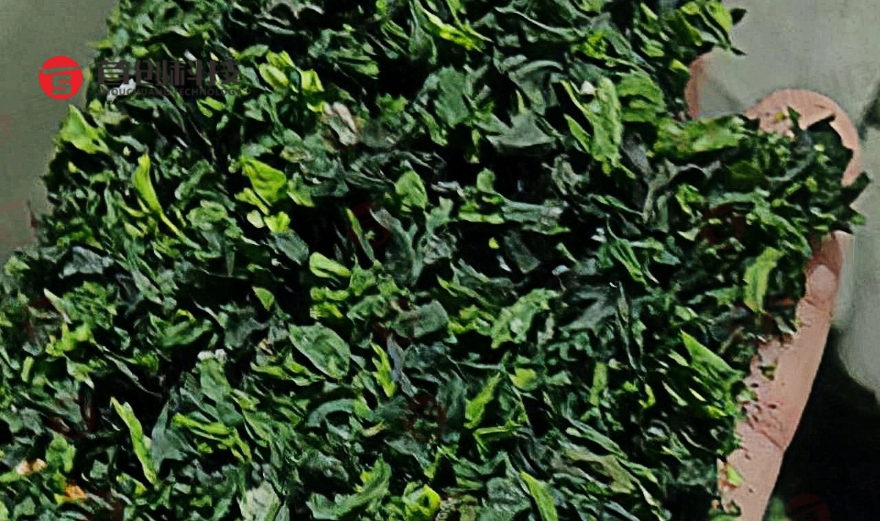 1733819674686190.jpg 1733819674686190.jpg