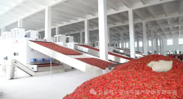 1762306102605915.jpg 2b1497f2-30c9-4c67-9ed7-ec57817f30db.jpg