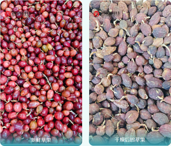 1763435022676952.png 0b9adaa1-cecb-46ae-9649-cc28c8267f35.png